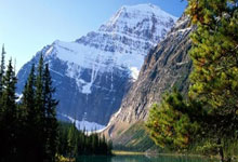 2020年有世界杯足球赛吗？赛程表是怎样的？